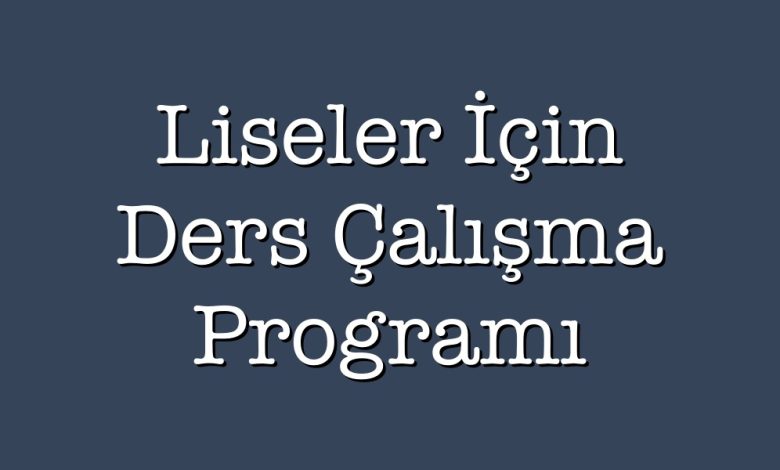 lise ders çalışma programı